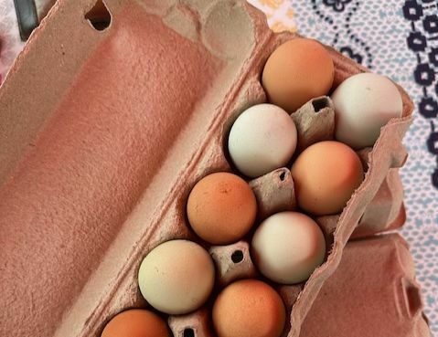 eggs, groceries, food, Wilmington Farmers Market